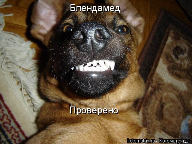 Блендамед Проверено... Котоматрица: Блендамед Проверено