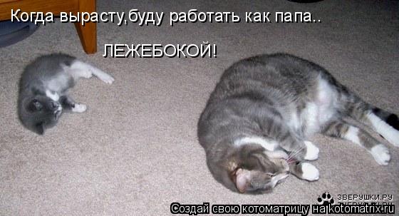 Когда вырасту,буду работать как папа.. ЛЕЖЕБОКОЙ!... Котоматрица: Когда вырасту,буду работать как папа.. ЛЕЖЕБОКОЙ!