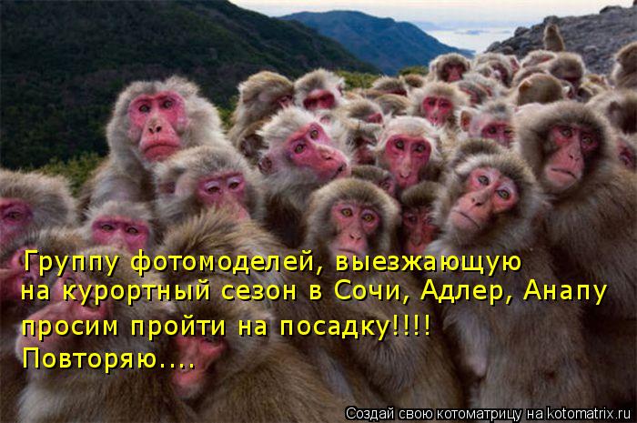 Группу фотомоделей, выезжающую на курортный сезон в Сочи, Адлер, Анапу просим пройти на посадку!!!! ... Котоматрица: Группу фотомоделей, выезжающую на курортный сезон в Сочи, Адлер, Анапу просим пройти на посадку!!!! Повторяю....