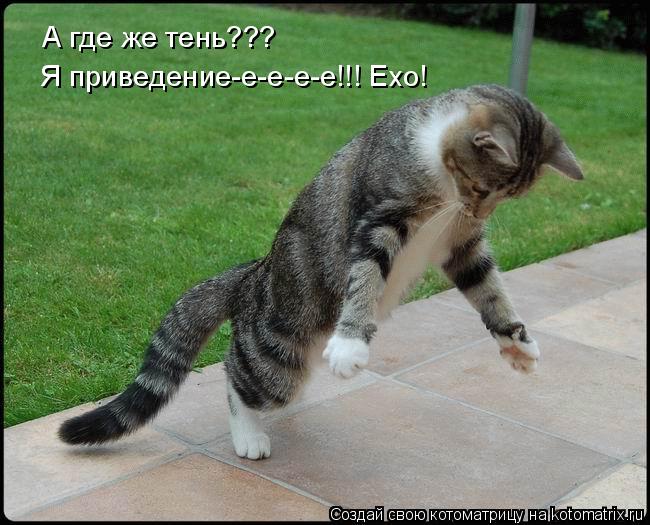 А где же тень??? Я приведение-е-е-е-е!!! Ехо!... Котоматрица: А где же тень??? Я приведение-е-е-е-е!!! Ехо!
