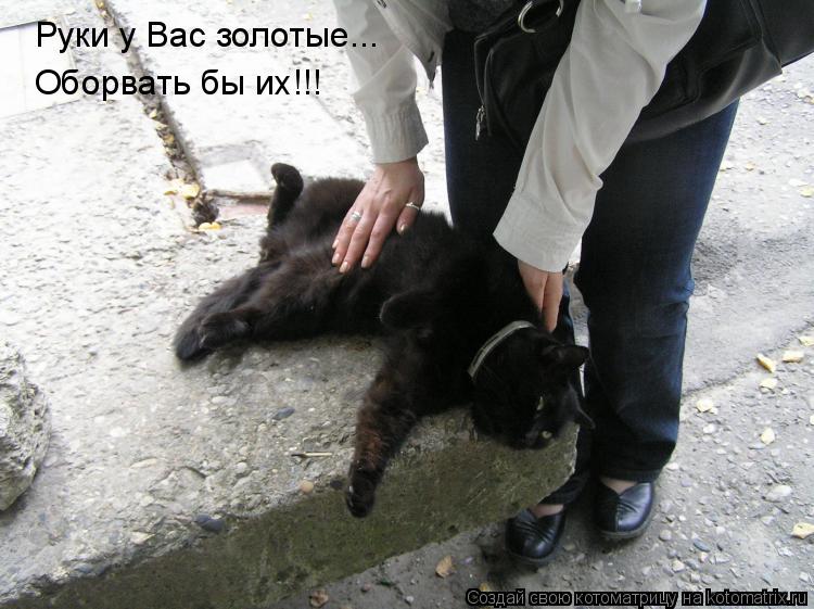 Руки у Вас золотые... Оборвать бы их!!!... Котоматрица: Руки у Вас золотые... Оборвать бы их!!!