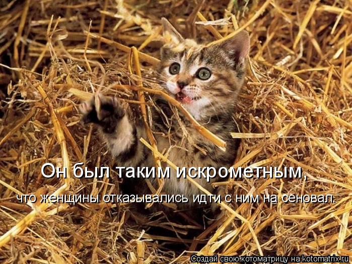 Он был таким искрометным, что женщины отказывались идти с ним на сеновал.... Котоматрица: Он был таким искрометным, что женщины отказывались идти с ним на сеновал.