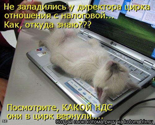 Не заладились у директора цирка отношения с налоговой... Как, откуда знаю??? Посмотрите, КАКОЙ НДС он... Котоматрица: Не заладились у директора цирка отношения с налоговой... Как, откуда знаю??? Посмотрите, КАКОЙ НДС они в цирк вернули....