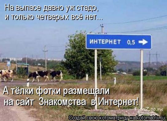 На выпасе давно уж стадо, и только четверых всё нет….. А тёлки фотки размещали на сайт «Знакомства» в... Котоматрица: На выпасе давно уж стадо, и только четверых всё нет….. А тёлки фотки размещали на сайт «Знакомства» в Интернет!