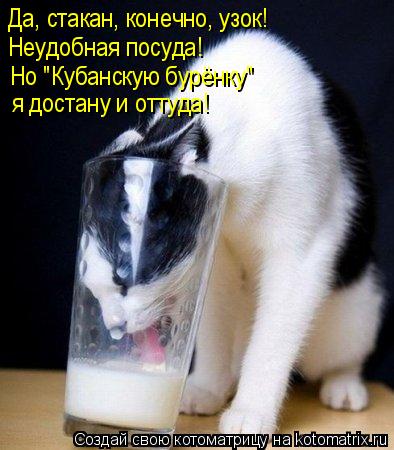Котоматрица: Да, стакан, конечно, узок! Неудобная посуда! Но "Кубанскую бурёнку" я достану и оттуда!