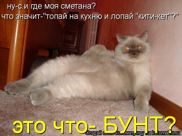 ну-с.и где моя сметана? что значит-"топай на кухню и лопай "кити-кет"?" это что- БУНТ?... Котоматрица: ну-с.и где моя сметана? что значит-"топай на кухню и лопай "кити-кет"?" это что- БУНТ?