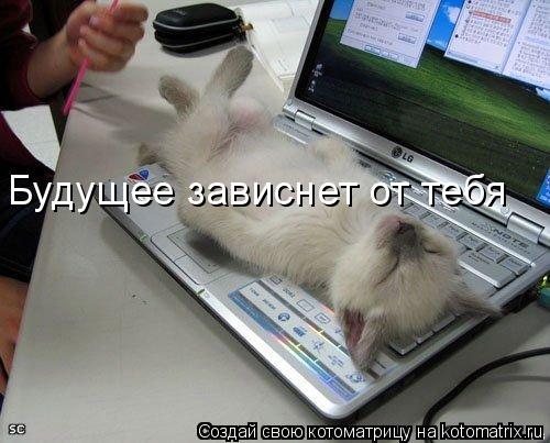 Будущее зависнет от тебя... Котоматрица: Будущее зависнет от тебя