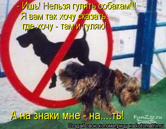 - Ишь! Нельзя гулять собакам!!! Я вам так хочу сказать: где хочу - там и гуляю! А на знаки мне - на..... Котоматрица: - Ишь! Нельзя гулять собакам!!! Я вам так хочу сказать: где хочу - там и гуляю! А на знаки мне - на...…ть!