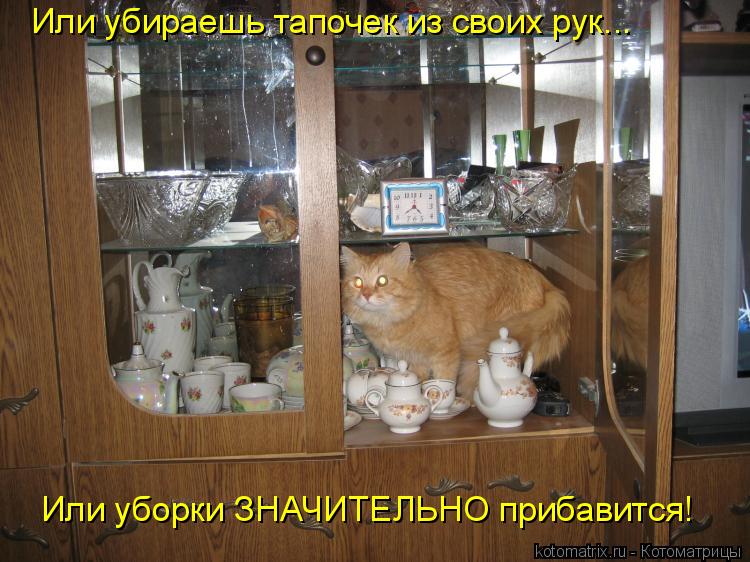Котоматрица: Или убираешь тапочек из своих рук... Или уборки ЗНАЧИТЕЛЬНО прибавится!