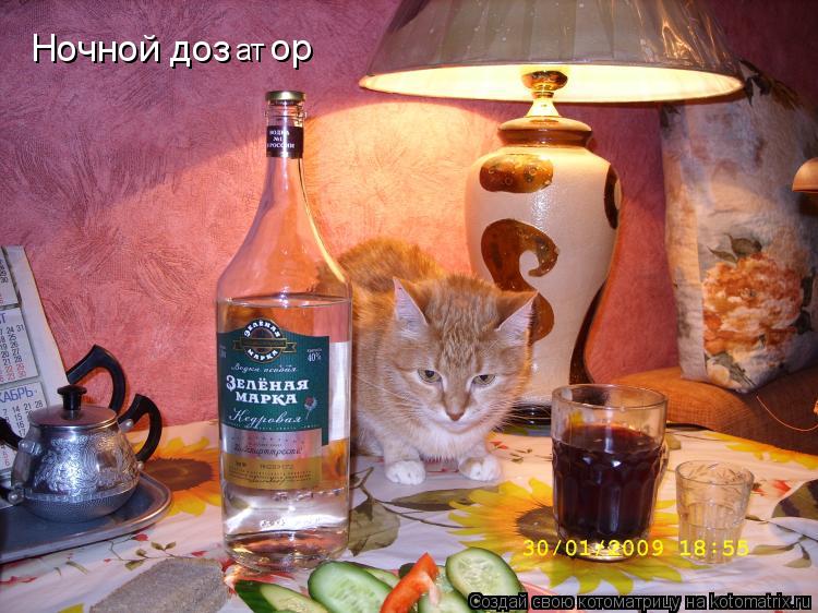 Ночной доз ат ор... Котоматрица: Ночной доз ат ор