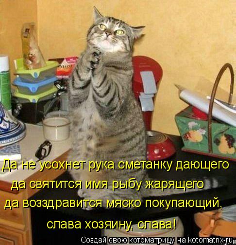 да возздравится мяско покупающий, да святится имя рыбу жарящего Да не усохнет рука сметанку дающего с... Котоматрица: да возздравится мяско покупающий, да святится имя рыбу жарящего Да не усохнет рука сметанку дающего слава хозяину, слава!