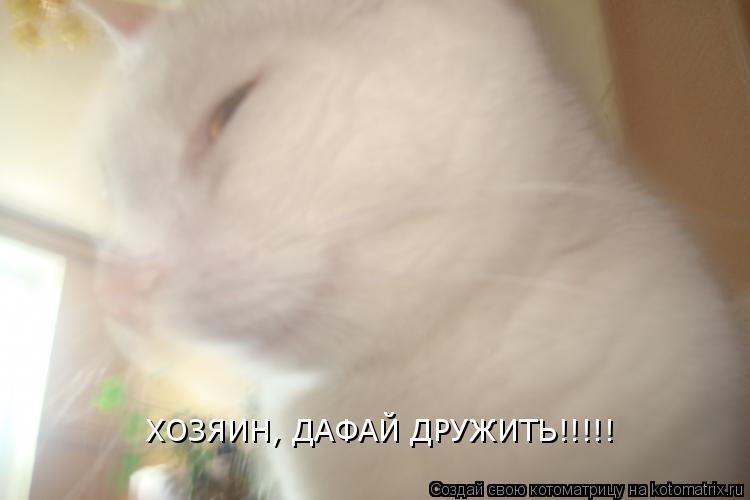 ХОЗЯИН, ДАФАЙ ДРУЖИТЬ!!!!!... Котоматрица: ХОЗЯИН, ДАФАЙ ДРУЖИТЬ!!!!!