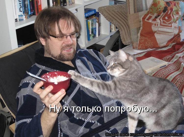 Ну я только попробую...... Котоматрица: Ну я только попробую...