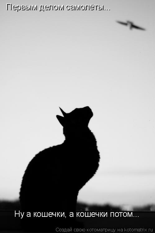 Первым делом самолёты... Ну а кошечки, а кошечки потом...... Котоматрица: Первым делом самолёты... Ну а кошечки, а кошечки потом...