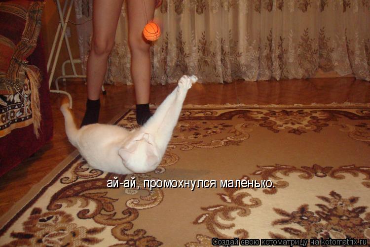 ай-ай, промохнулся маленько.... Котоматрица: ай-ай, промохнулся маленько.