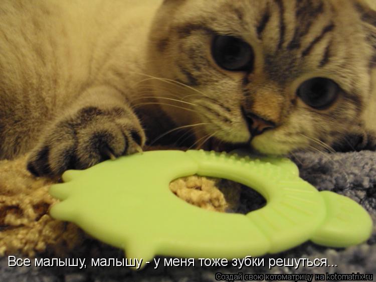 Котоматрица: Все малышу, малышу - у меня тоже зубки решуться...
