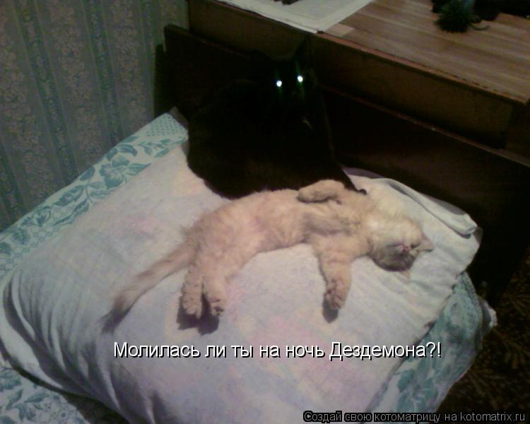 Котоматрица: Молилась ли ты на ночь Дездемона?!