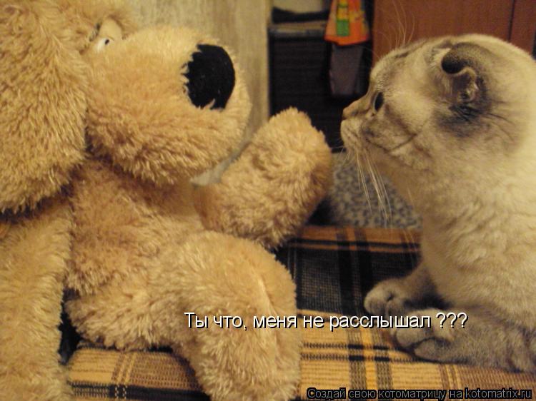 Котоматрица: Ты что, меня не расслышал ???