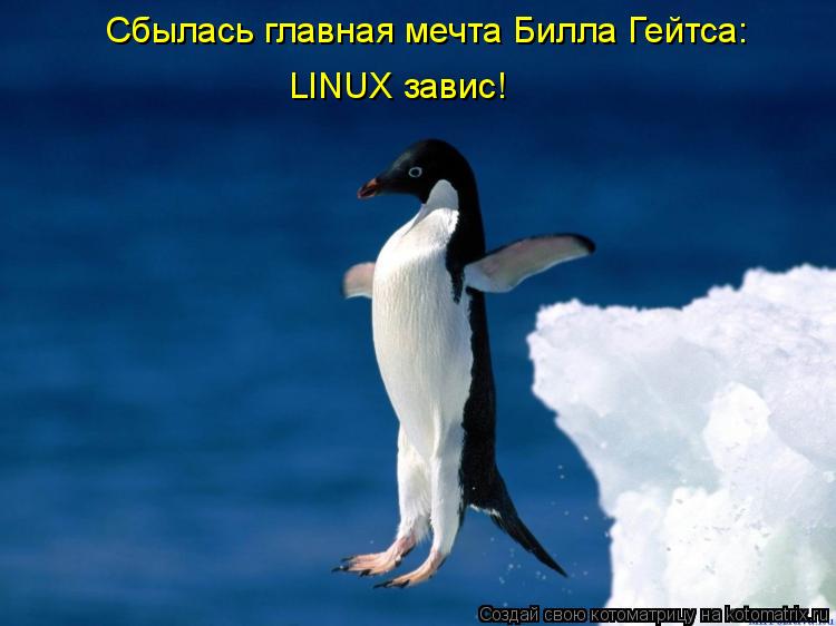 LINUX завис! Сбылась главная мечта Билла Гейтса:... Котоматрица: LINUX завис! Сбылась главная мечта Билла Гейтса:
