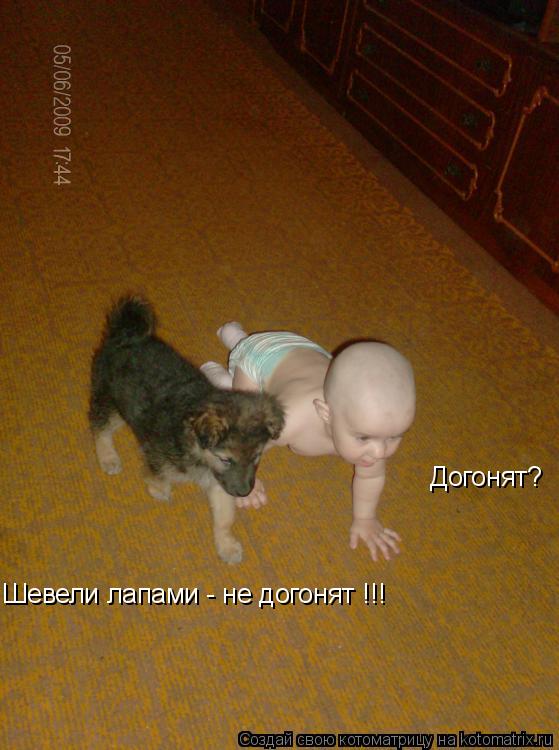 Котоматрица: Догонят? Шевели лапами - не догонят !!!