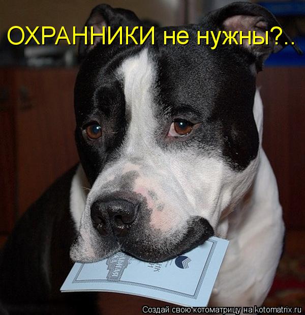 ОХРАННИКИ не нужны?..... Котоматрица: ОХРАННИКИ не нужны?..