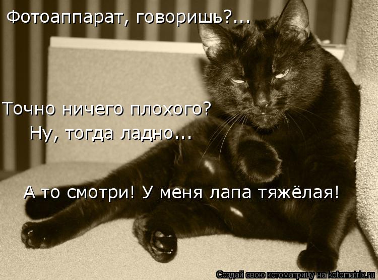 Фотоаппарат, говоришь?... Точно ничего плохого? Ну, тогда ладно... А то смотри! У меня лапа тяжёлая!... Котоматрица: Фотоаппарат, говоришь?... Точно ничего плохого? Ну, тогда ладно... А то смотри! У меня лапа тяжёлая!