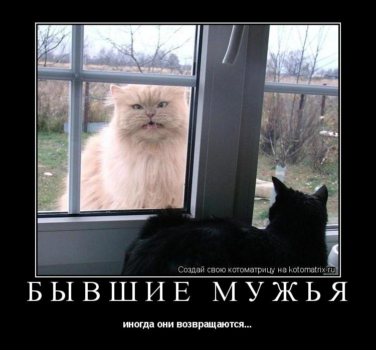 БЫВШИЕ МУЖЬЯ иногда они возвращаются...... Котоматрица: БЫВШИЕ МУЖЬЯ иногда они возвращаются...