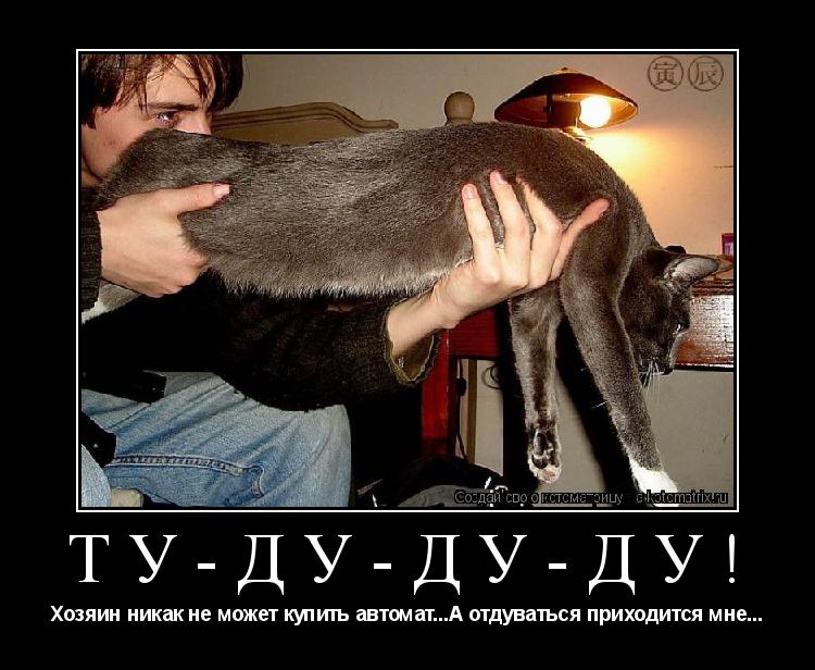 Ту-ду-ду-ду! Хозяин никак не может купить автомат...А отдуваться приходится мне...... Котоматрица: Ту-ду-ду-ду! Хозяин никак не может купить автомат...А отдуваться приходится мне...