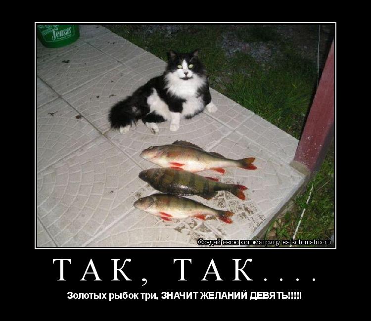 Так, Так.... Золотых рыбок три, ЗНАЧИТ ЖЕЛАНИЙ ДЕВЯТЬ!!!!!... Котоматрица: Так, Так.... Золотых рыбок три, ЗНАЧИТ ЖЕЛАНИЙ ДЕВЯТЬ!!!!!