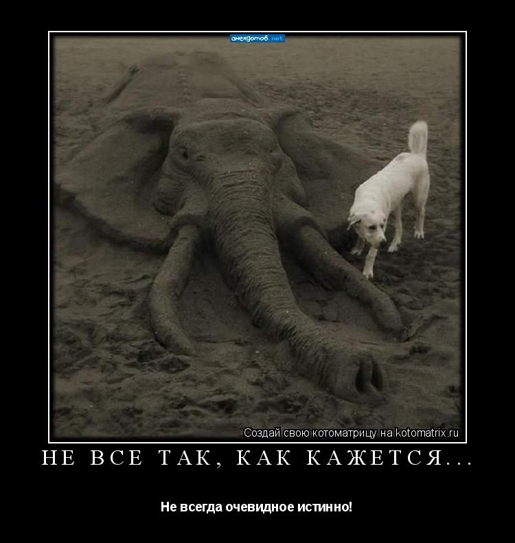 НЕ ВСЁ ТАК, КАК КАЖЕТСЯ... Не всегда очевидное истинно!... Котоматрица: НЕ ВСЁ ТАК, КАК КАЖЕТСЯ... Не всегда очевидное истинно!