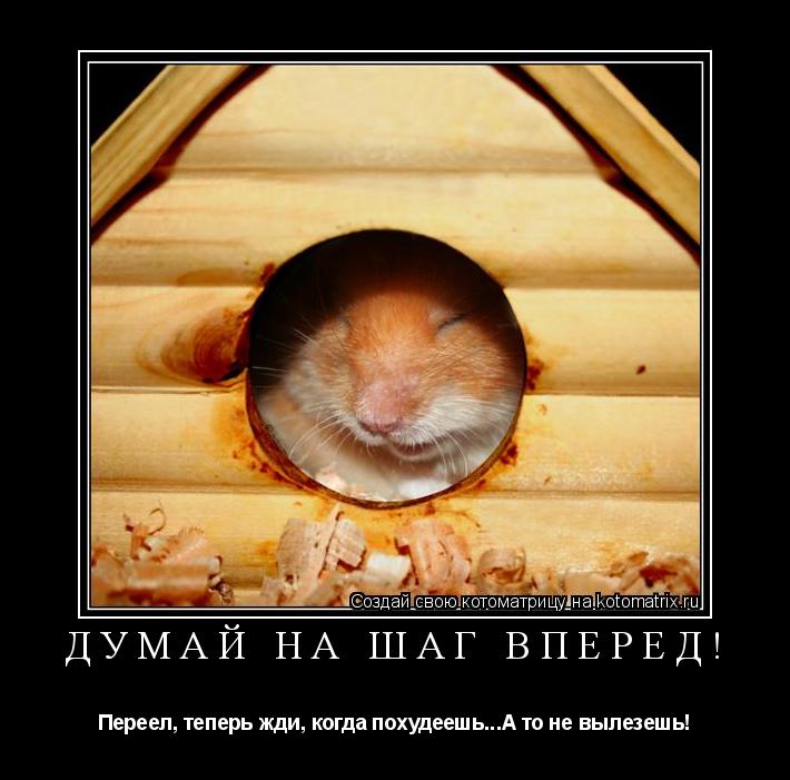 ДУМАЙ НА ШАГ ВПЕРЁД! Переел, теперь жди, когда похудеешь...А то не вылезешь!... Котоматрица: ДУМАЙ НА ШАГ ВПЕРЁД! Переел, теперь жди, когда похудеешь...А то не вылезешь!