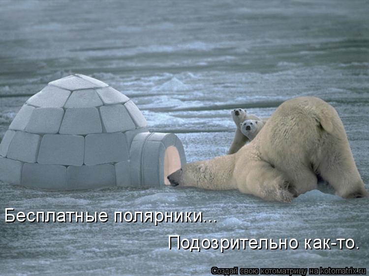 Бесплатные полярники... Подозрительно как-то.... Котоматрица: Бесплатные полярники... Подозрительно как-то.