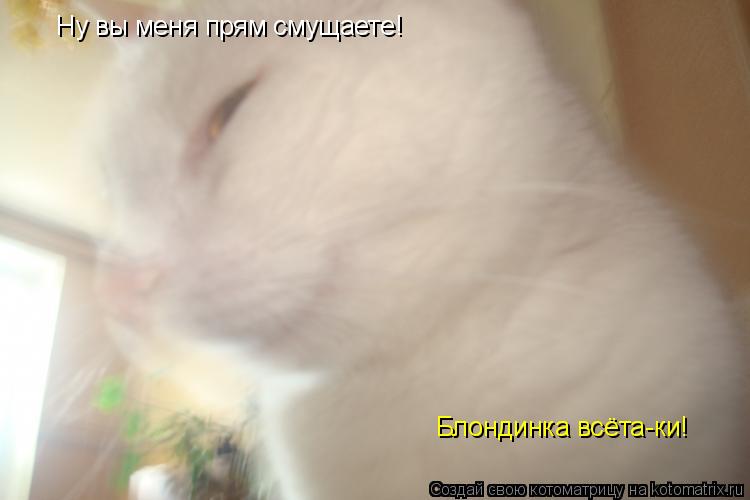Ну вы меня прям смущаете! Блондинка всёта-ки!... Котоматрица: Ну вы меня прям смущаете! Блондинка всёта-ки!