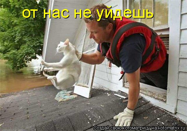 от нас не уйдешь... Котоматрица: от нас не уйдешь