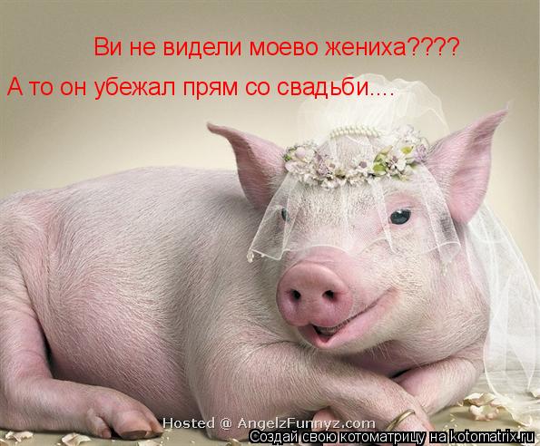 Ви не видели моево жениха???? А то он убежал прям со свадьби....... Котоматрица: Ви не видели моево жениха???? А то он убежал прям со свадьби....