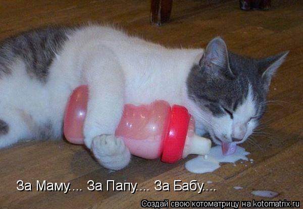 За Маму.... За Папу.... За Бабу....... Котоматрица: За Маму.... За Папу.... За Бабу....