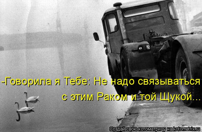 Котоматрица: с этим Раком и той Щукой... -Говорила я Тебе: Не надо связываться