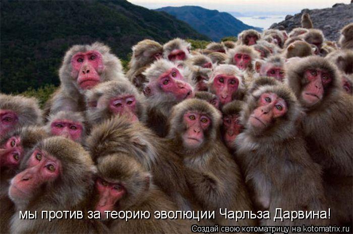 мы против за теорию эволюции Чарльза Дарвина!... Котоматрица: мы против за теорию эволюции Чарльза Дарвина!