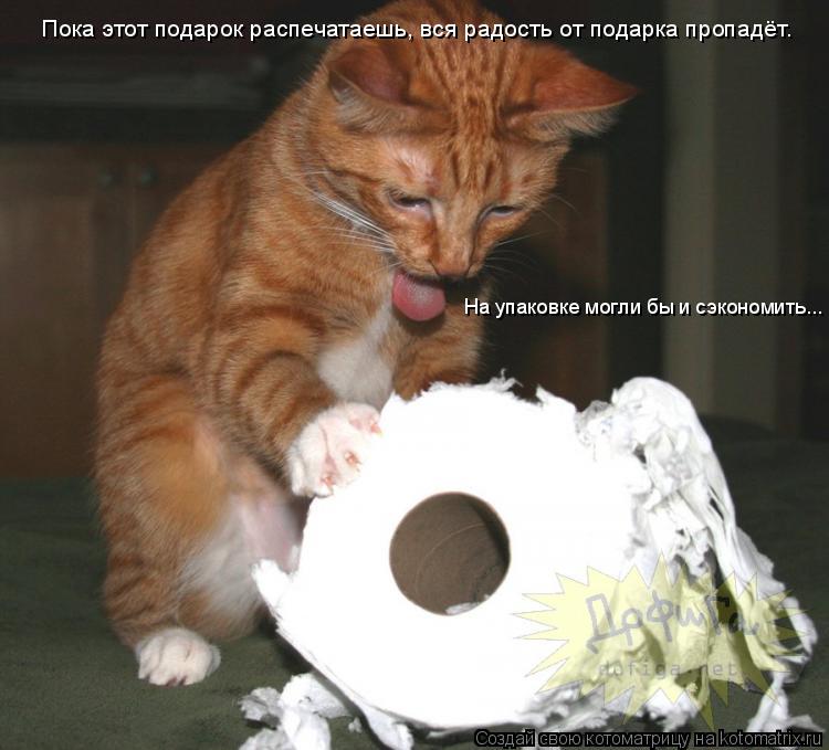 Пока этот подарок распечатаешь, вся радость от подарка пропадёт. На упаковке могли бы и сэкономить...... Котоматрица: Пока этот подарок распечатаешь, вся радость от подарка пропадёт. На упаковке могли бы и сэкономить...