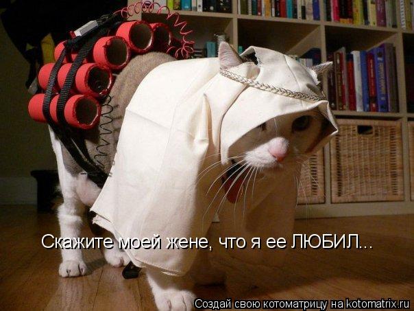Скажите моей жене, что я ее ЛЮБИЛ...... Котоматрица: Скажите моей жене, что я ее ЛЮБИЛ...
