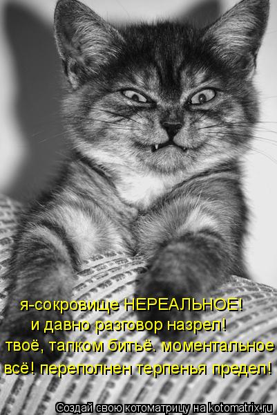 я-сокровище НЕРЕАЛЬНОЕ! и давно разговор назрел! твоё, тапком битьё. моментальное всё! переполнен те... Котоматрица: я-сокровище НЕРЕАЛЬНОЕ! и давно разговор назрел! твоё, тапком битьё. моментальное всё! переполнен терпенья предел!