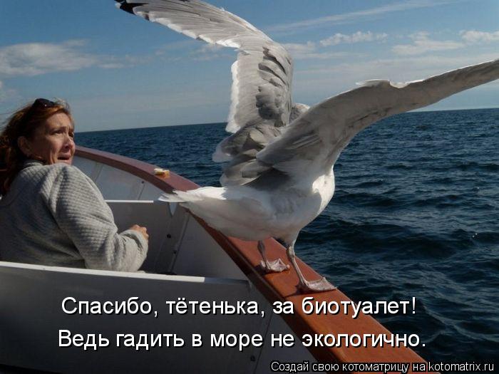 Спасибо, тётенька, за биотуалет! Ведь гадить в море не экологично.... Котоматрица: Спасибо, тётенька, за биотуалет! Ведь гадить в море не экологично.