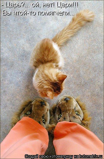 Вы чтой-то помягчели... - Царь?... ой, нет! Цари!!!... Котоматрица: Вы чтой-то помягчели... - Царь?... ой, нет! Цари!!!