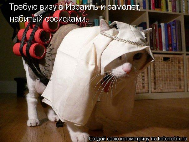 Требую визу в Израиль и самолет, набитый сосисками..... Котоматрица: Требую визу в Израиль и самолет, набитый сосисками..