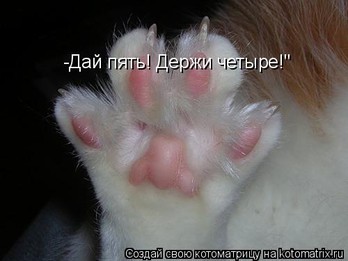 Котоматрица: -Дай пять! Держи четыре!"