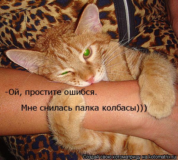 -Ой, простите ошибся. Мне снилась палка колбасы)))... Котоматрица: -Ой, простите ошибся. Мне снилась палка колбасы)))