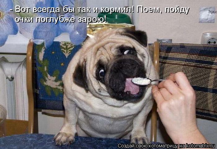 - Вот всегда бы так и кормил! Поем, пойду очки поглубже зарою!... Котоматрица: - Вот всегда бы так и кормил! Поем, пойду очки поглубже зарою!