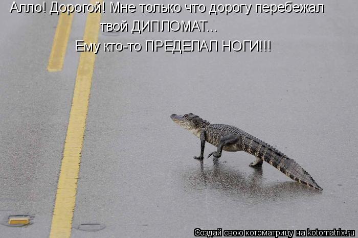 Алло! Дорогой! Мне только что дорогу перебежал твой ДИПЛОМАТ... Ему кто-то ПРЕДЕЛАЛ НОГИ!!!... Котоматрица: Алло! Дорогой! Мне только что дорогу перебежал твой ДИПЛОМАТ... Ему кто-то ПРЕДЕЛАЛ НОГИ!!!