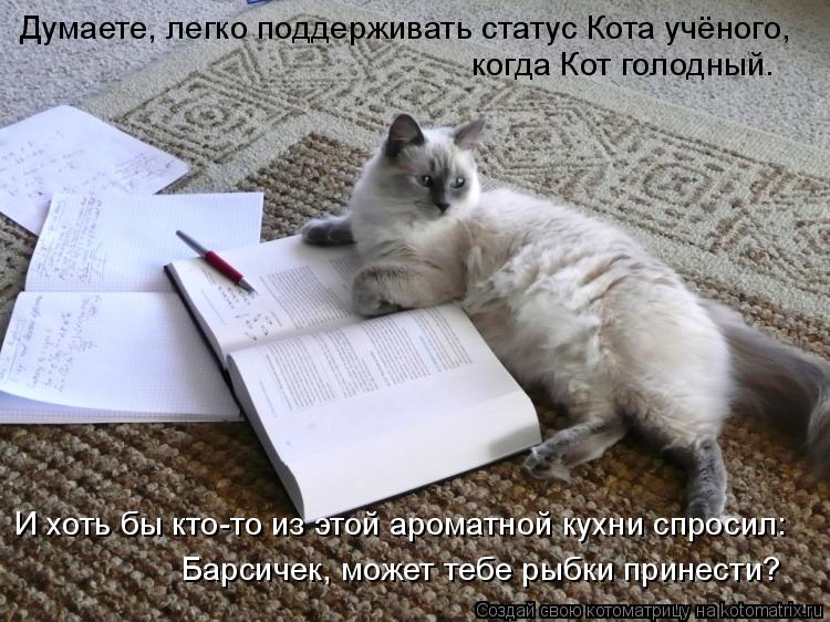Котоматрица: Думаете, легко поддерживать статус Кота учёного, когда Кот голодный… И хоть бы кто-то из этой ароматной кухни спросил: «Барсичек, может теб
