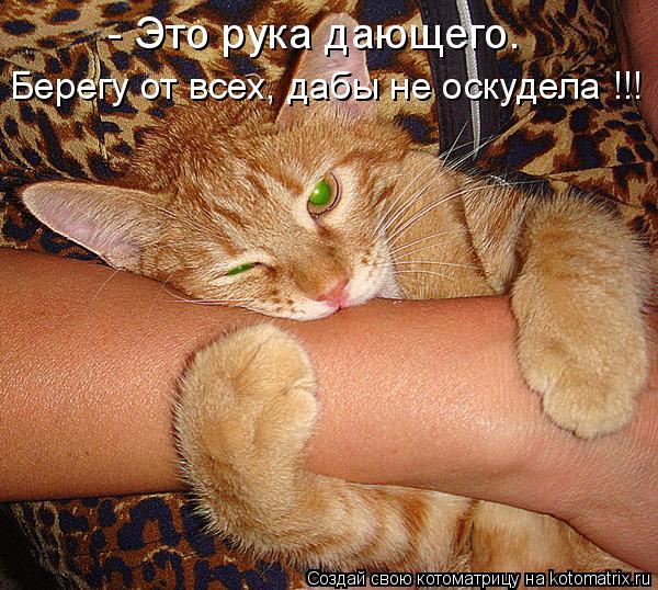 - Это рука дающего. Берегу от всех, дабы не оскудела !!!... Котоматрица: - Это рука дающего. Берегу от всех, дабы не оскудела !!!